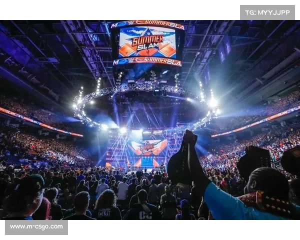 瓦伦西亚主场设施升级，提升观赛体验