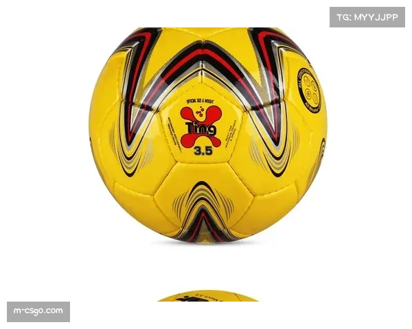 手球用品市场细分:竞赛用球、训练装备、娱乐产品各占份额 手球用品市场细分:竞赛用球、训练装备、娱乐产品各占份额