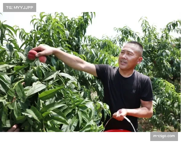 美国退伍军人事务部举办全国性康复垒球项目,助力老兵身心恢复 美国退伍军人事务部举办全国性康复垒球项目,助力老兵身心恢复